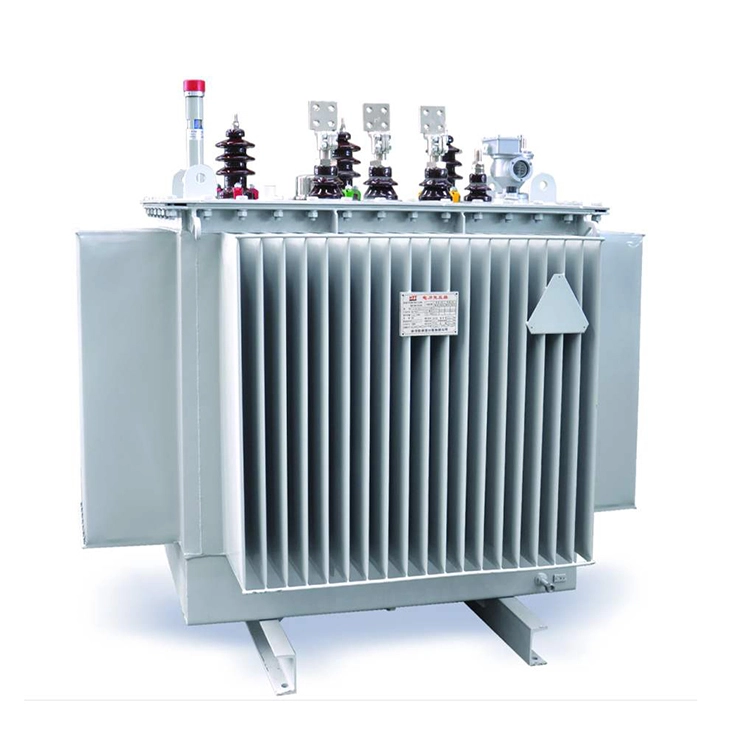 100 Kva Banaketa 13,8 Kv Polo-Transformadoreak