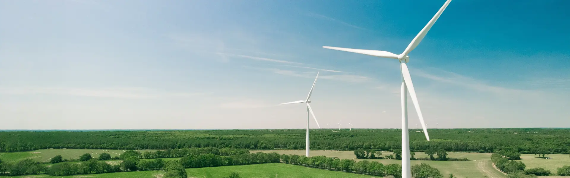 Jarri gurekin harremanetan