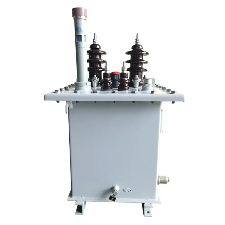 37,5kva-ko fase bakarreko poloan muntatutako transformadorea 37,5kva-ko fase bakarreko poloan muntatutako transformadorea