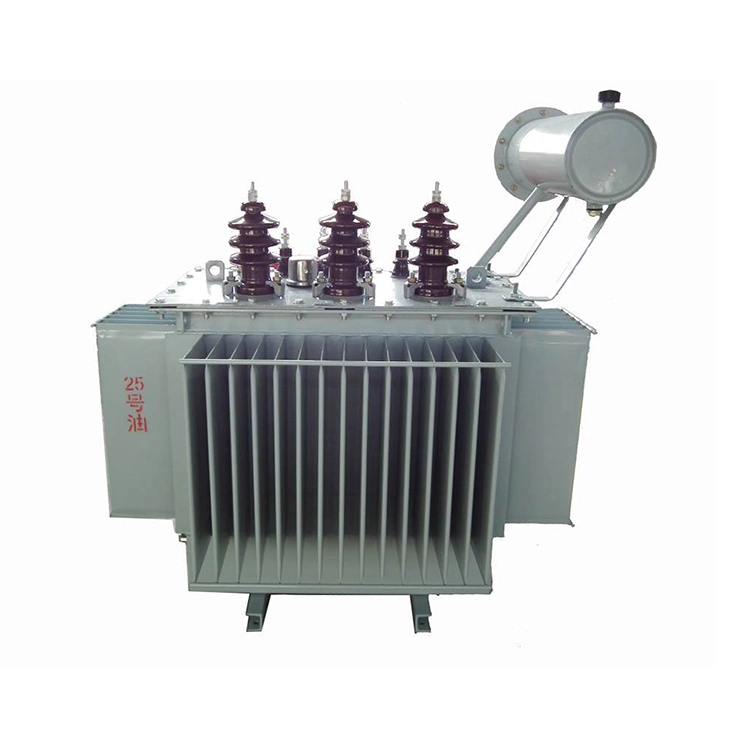 S11 100 Kva 6.3kv 400v Olioz betetako Transformadorea